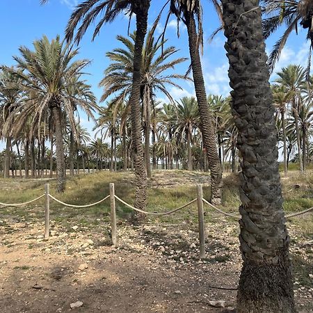 Despertar En Torrevieja Villa Kültér fotó