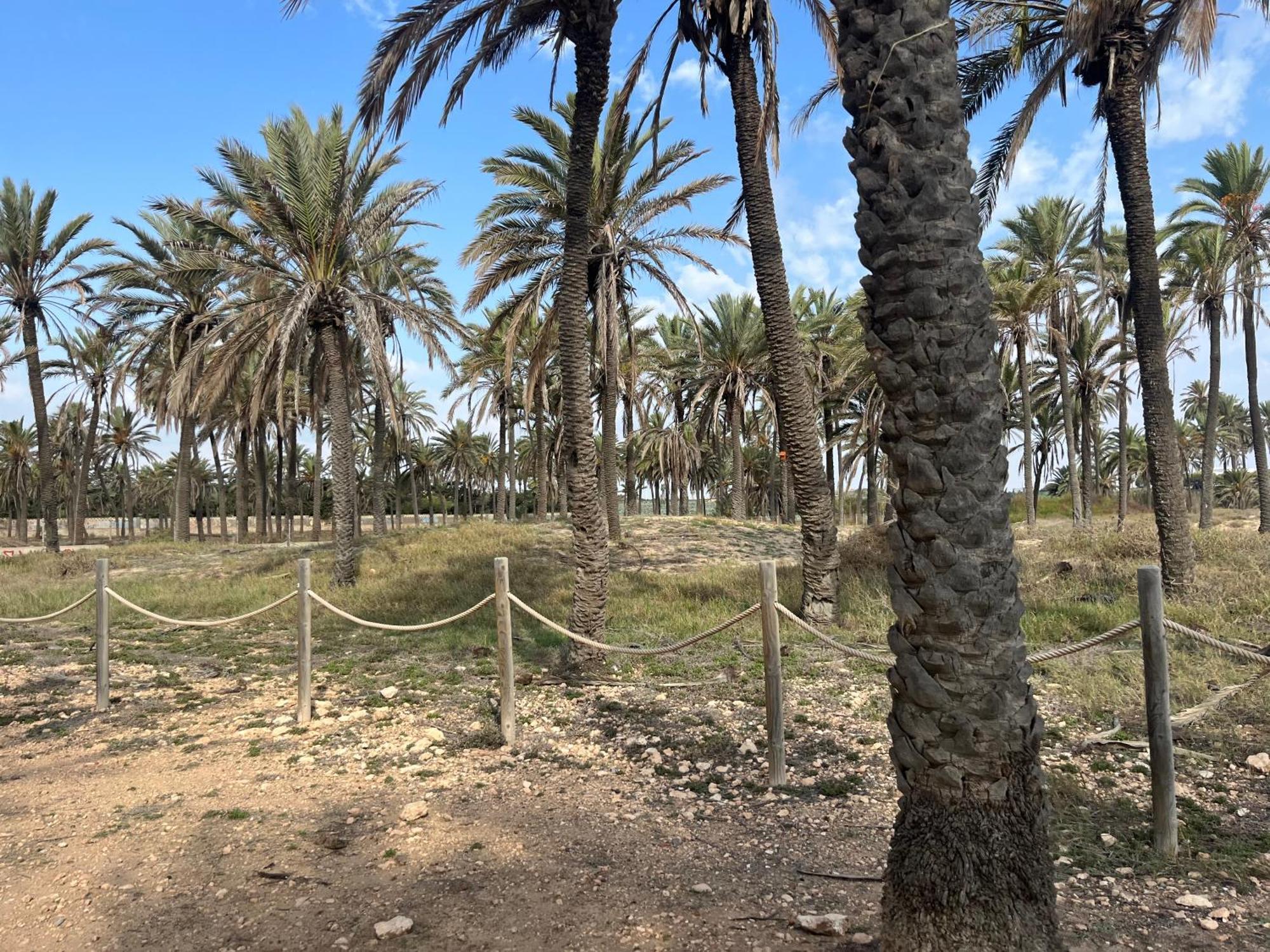 Despertar En Torrevieja Villa Kültér fotó